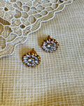 AS-Y12238 Silver Gold Earring