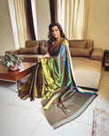 EE-W18366 Shaded Tissue Saree