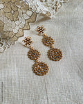 ASDQ-17331 SIlver Gold Earrings
