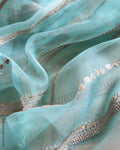 BL-V17261 Sky blue Organza Blouse