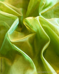 DP-W02728 Apple Green Plain Saree