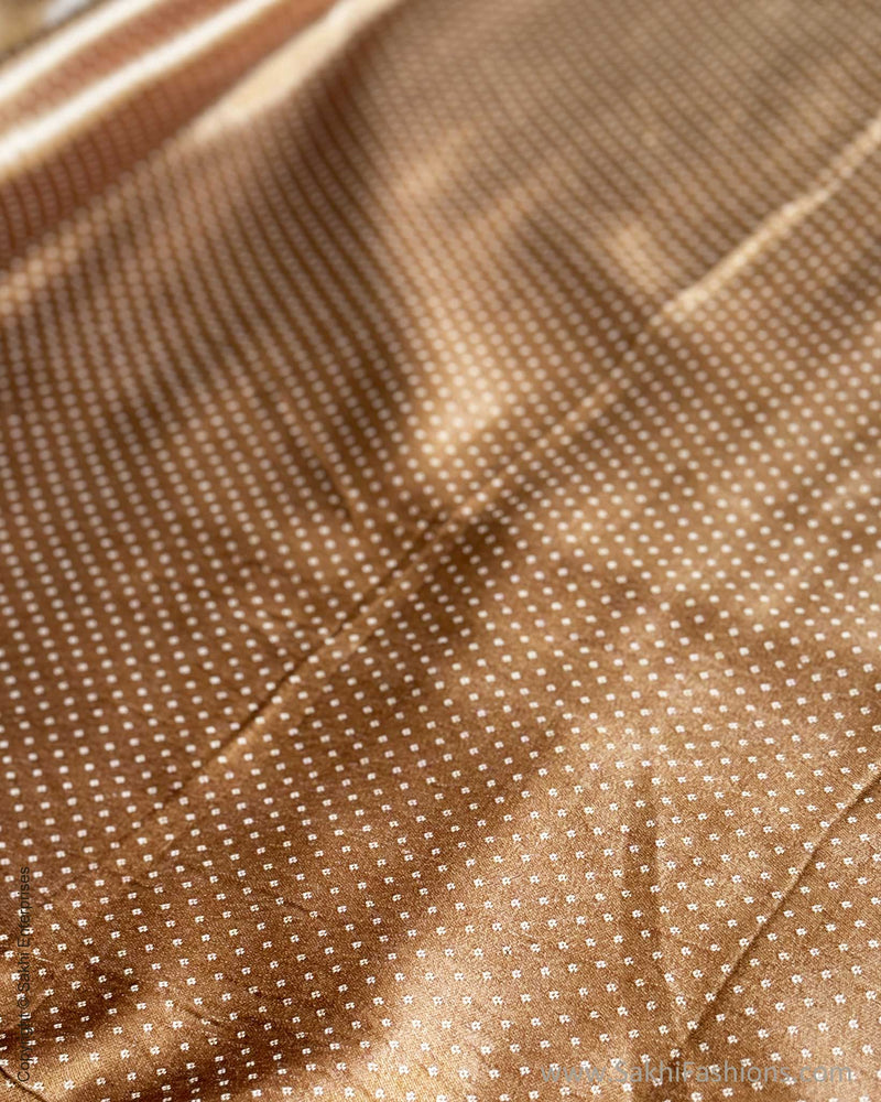 BL-V12361 Beige Gold Mashru Blouse