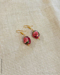 AS-X03017 Pearl Drops Earring