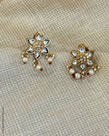 AJ-X02796 Meena Earring