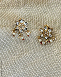 AJ-X02796 Meena Earring