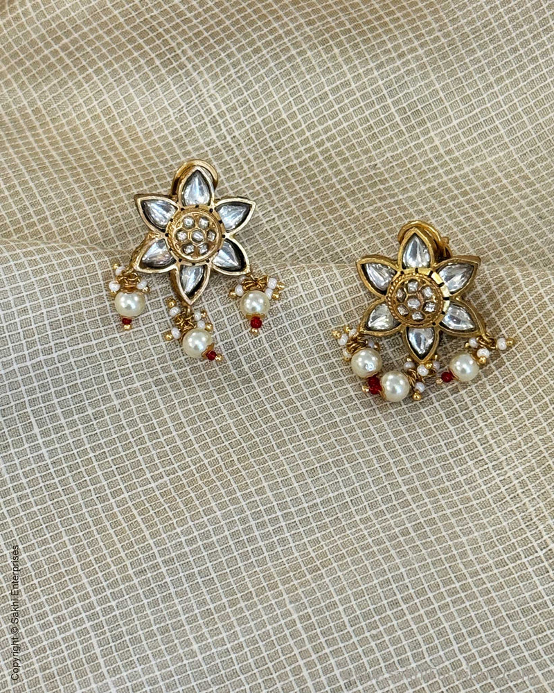 AJ-X02796 Meena Earring