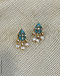 AJ-X02806 Meena Earring