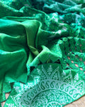 DP-X09931 Silk Cutwork saree