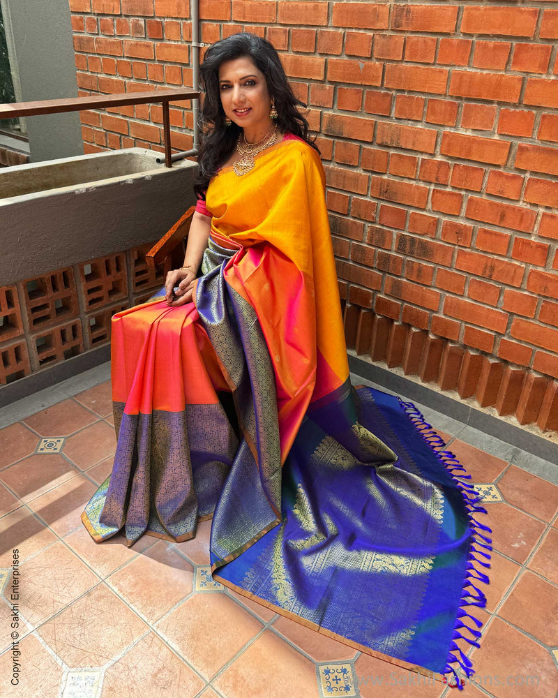 EE-X08299 Concept Kanchi Saree