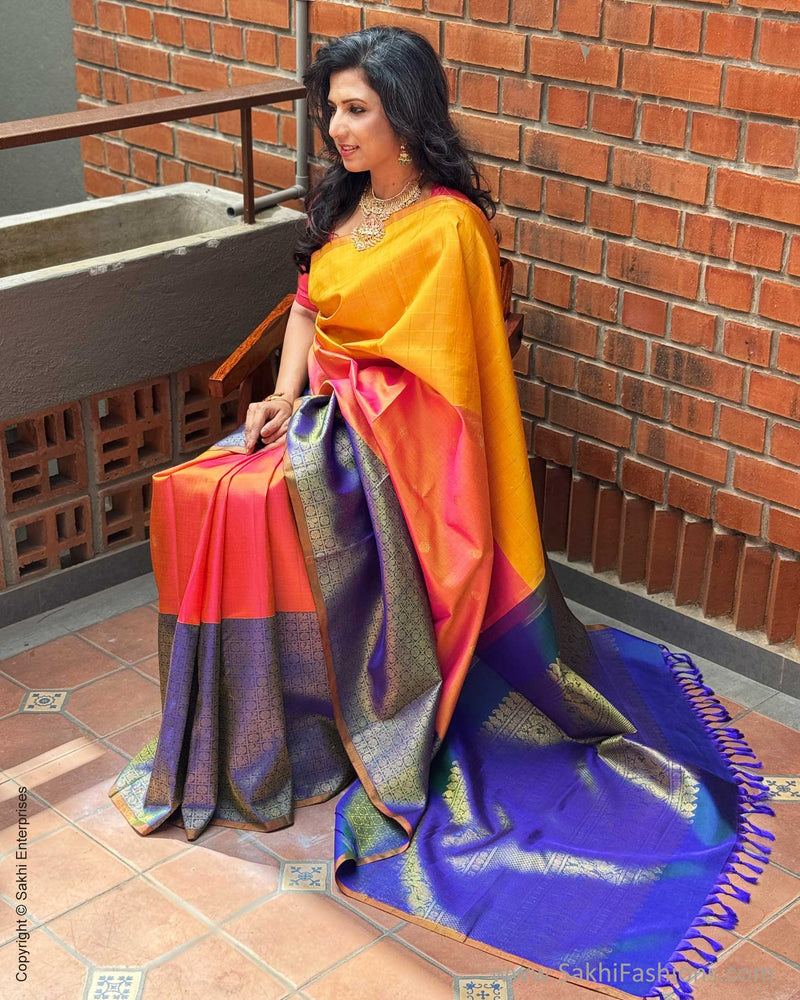 EE-X08299 Concept Kanchi Saree
