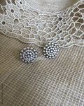 AJ-Y04590 Diamante Earring