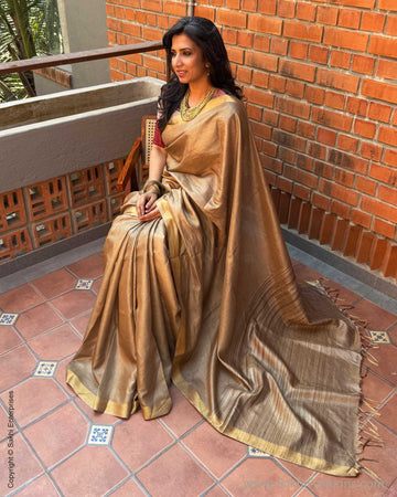 EE-X14990 Beige Tussar sari