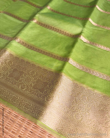 DP-Y01603 Green Kora sari