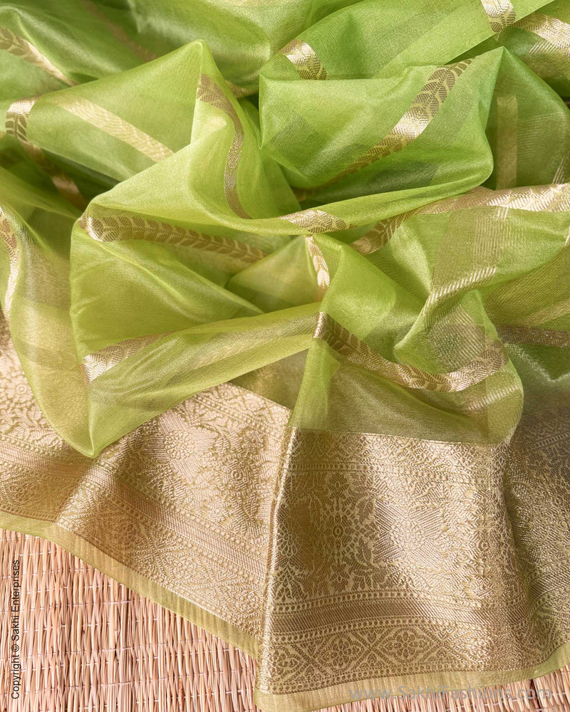 DP-Y01603 Green Kora sari