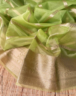 DP-Y01603 Green Kora sari