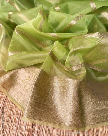 DP-Y01603 Green Kora sari