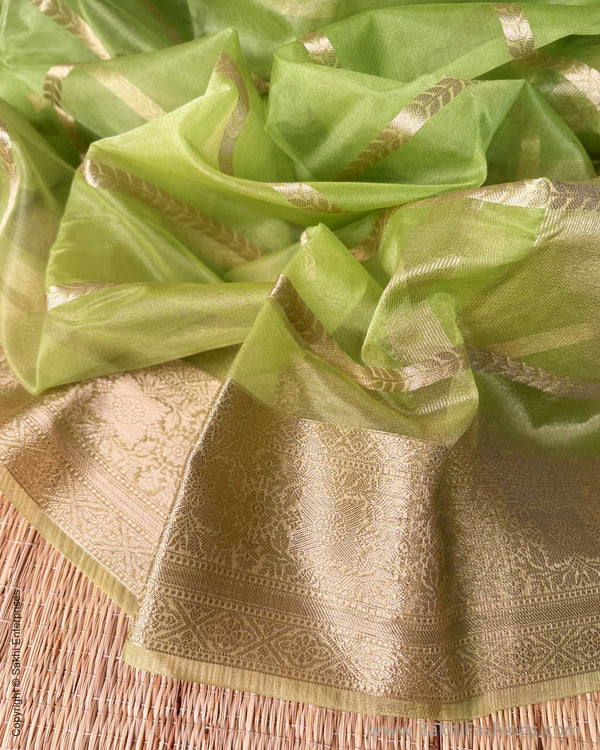 DP-Y01603 Green Kora sari