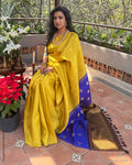 EE-Y12335 Double Pallu Kanchi sari