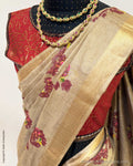 DP-Y13083 Bougainvillea Tussar Sari