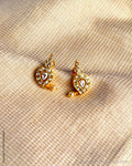 AJ-X17633 Mango Earring