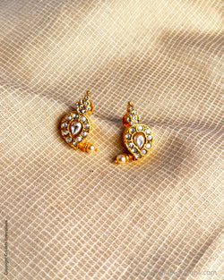 AJ-X17633 Mango Earring