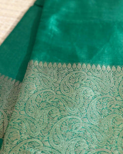 DP-X16082 Green Sari
