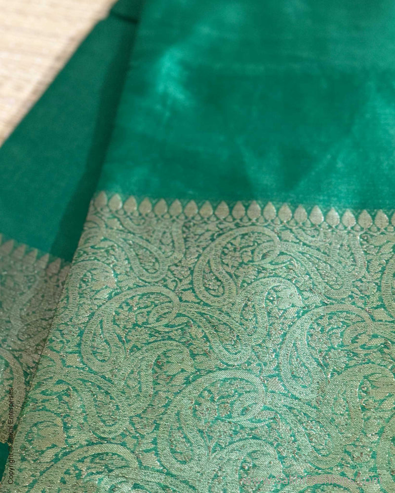 DP-X16082 Green Sari