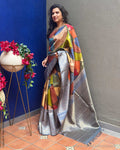 EE-Z01116 Shaded Kanjeevaarm saree