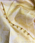 AS-Z04579 Silver Gold Neck Choker