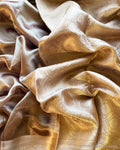 DP-X11067 Brown Tissue Saree