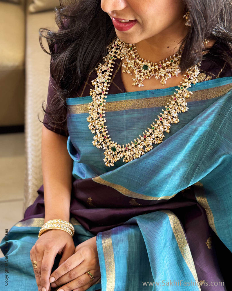 EE-Y00680 Brown Kanchi Saree