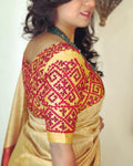 BL-V20355 Kutch Tussar Blouse