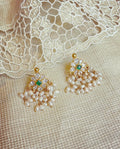 AS-V20390 Guttapusalu Earring