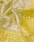 DP-W03300 Organza Chikankari Sari