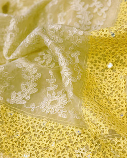 DP-W03300 Organza Chikankari Sari