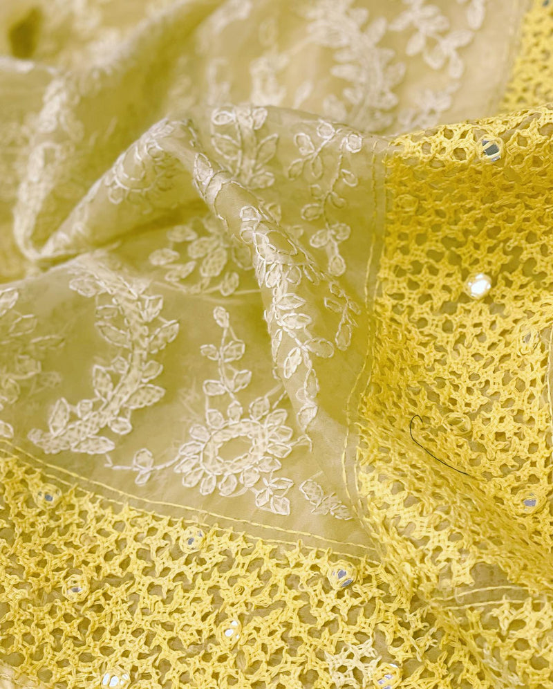 DP-W03300 Organza Chikankari Sari