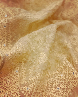 DP-W01413 Organza Chikankari Sari