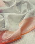DP-W01704 Silver Tissue Saree
