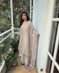 EE-W11919 Silver Tissue Salwar