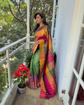 EE-W15220 Multi Kanchi Frill Sari