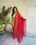 EE-V13371 Red Organza Dupatta