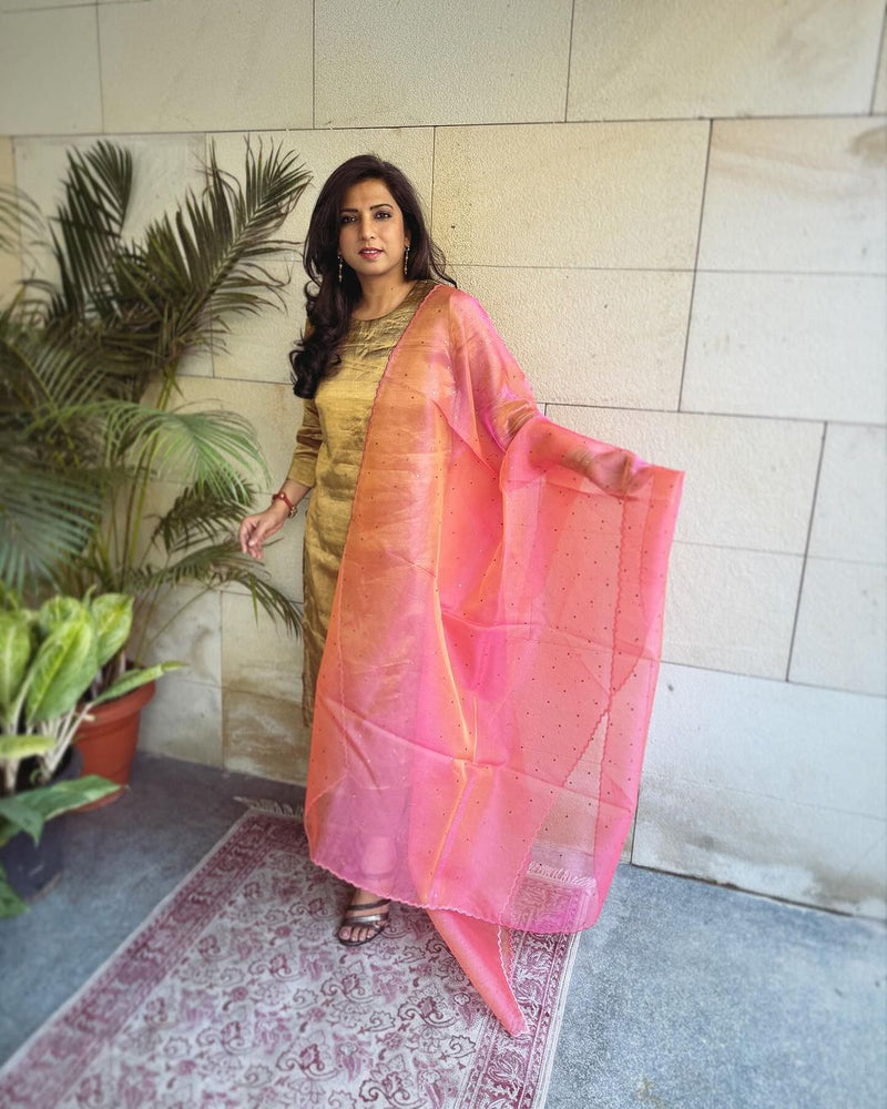 EE-V13369 Peach Organza Dupatta