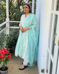 BL-V17261D Blue Organza Dupatta