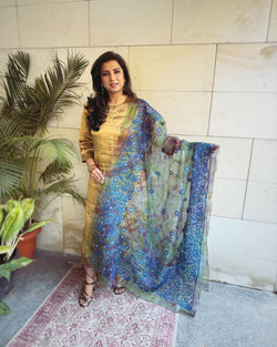 EE-V19533 Blue Organza Dupatta