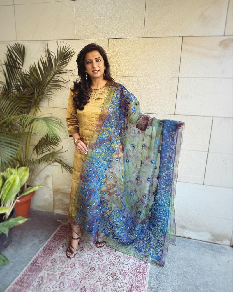 EE-V19533 Blue Organza Dupatta