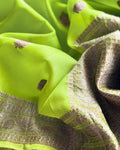 DP-W18580 Green Organza Sari
