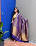 EE-X06260 Blue Kanchi Dupatta