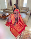 EE-W05812 Grey Handwoven Ikat