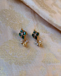 AS-Z04585 Silver Gold Earring