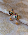 AS-Z04584 Silver Gold Earring